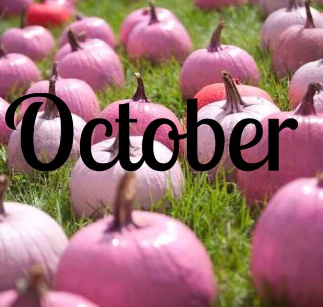 lifeofabarbie's tweet photo. Hello October! 👻🕷️🍭💖 https://t.co/DITBg3lk4z