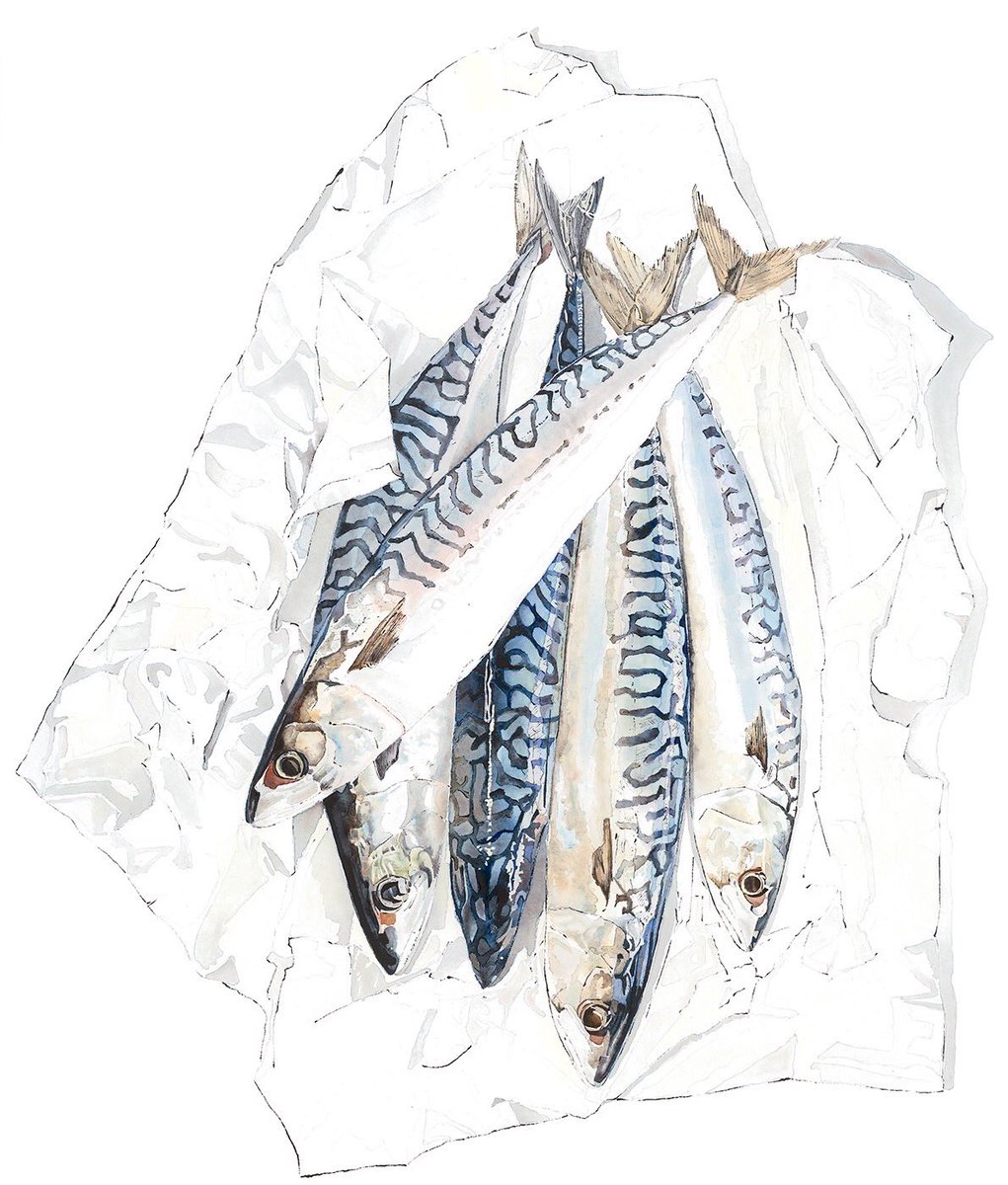 LucyclaytonLucy's tweet photo. #mackerel are off to be hung at the @MenierGallery as part of @SGFADrawing #Draw17 exhibition 2-14 Oct #visitlondon #drawing #londonlife https://t.co/KcyKvvy6gW