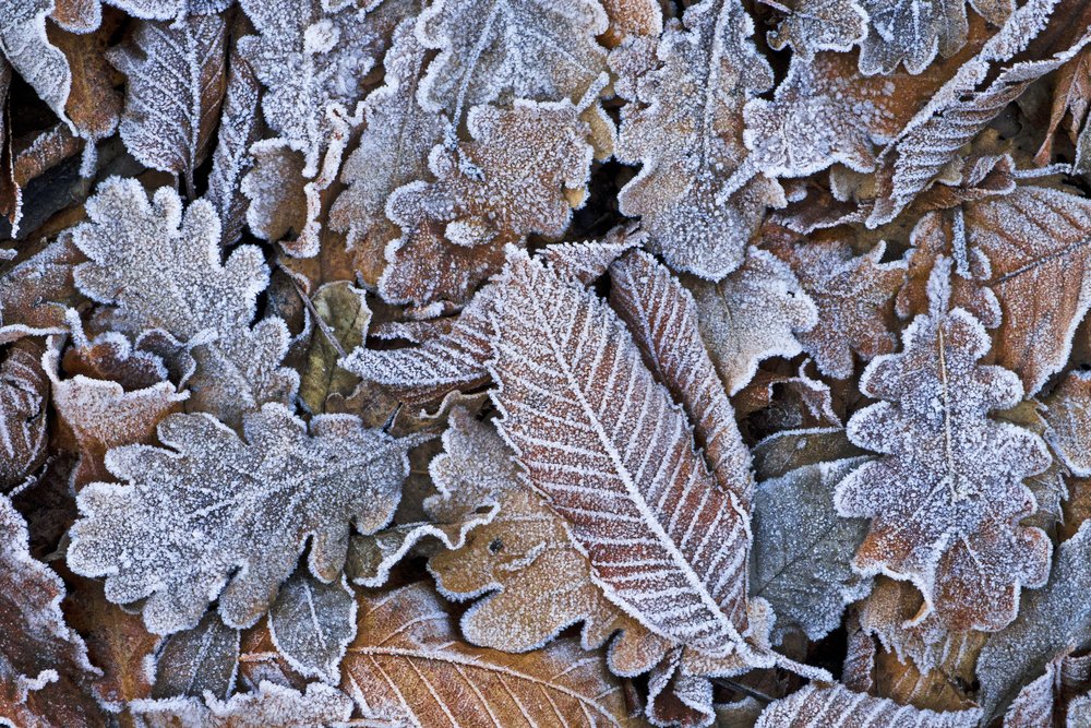 metoffice's tweet photo. It looks like last night was the coldest of the #Autumn so far, with a low of -1.8 ºC at Braemar https://t.co/yxl8mIVZJU
