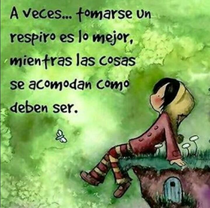 almudena nomelose (@df484e8f61044c4) on Twitter photo 