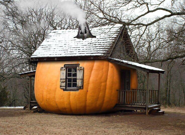 247razz's tweet photo. Wishing all a great October https://t.co/ZYf5x7v3tV