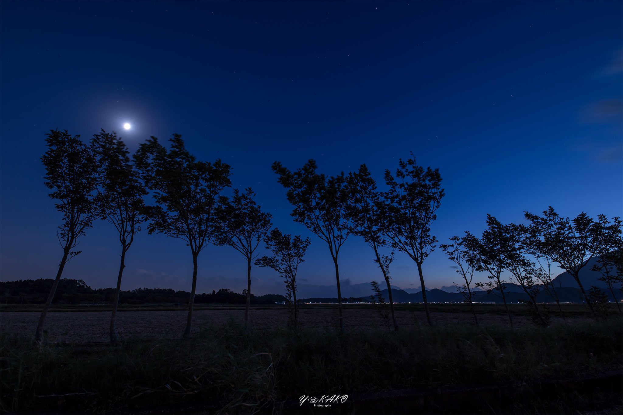 Y Kako 夏井のハザ木と田園の夕景 米所新潟では古来 この並木を利用して刈り取った稲を並べ天日に干していたそうです 夏井のハザ木 夏井のはざ木 新潟県 新潟市 西蒲 夏井