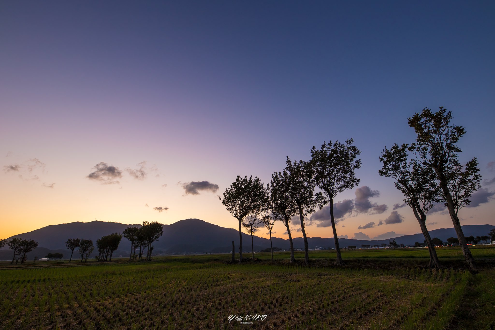 Y Kako V Twitter 夏井のハザ木と田園の夕景 米所新潟では古来 この並木を利用して刈り取った稲を並べ天日に干していたそうです 夏井のハザ木 夏井のはざ木 新潟県 新潟市 西蒲 夏井 Y Kako V Twitter 夏井のハザ木と田園の夕景 米所新潟では古来 この並木を利用して刈り取った稲を並べ天日に干していたそうです 夏井のハザ木 夏井のはざ木 新潟県 新潟市 西蒲 夏井