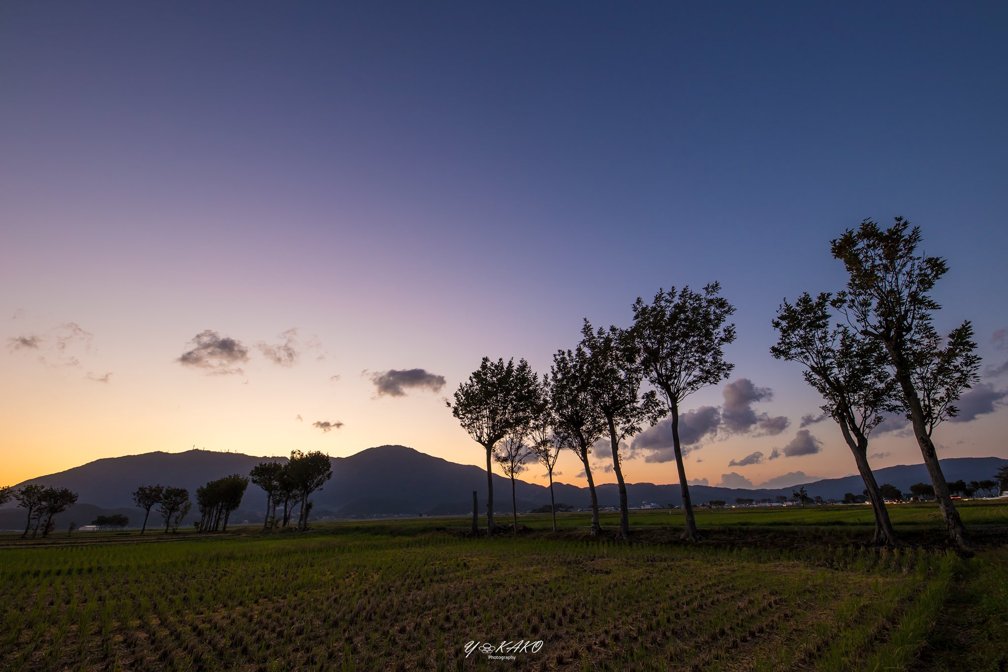 Y Kako V Twitter 夏井のハザ木と田園の夕景 米所新潟では古来 この並木を利用して刈り取った稲を並べ天日に干していたそうです 夏井のハザ木 夏井のはざ木 新潟県 新潟市 西蒲 夏井