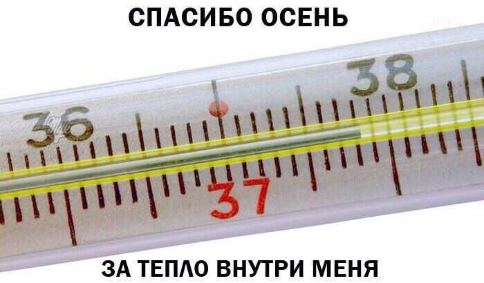 Сук мой градусник сфоткали😷