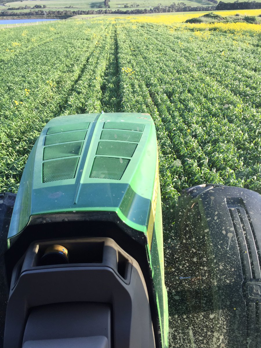dan_potatoes's tweet image. After frosts, no spray days then a  wet Aug &amp;amp; sept, it was good to get the first broadleaf spray on the wheat😂🤔 #wheatnotcanola #nickoftime