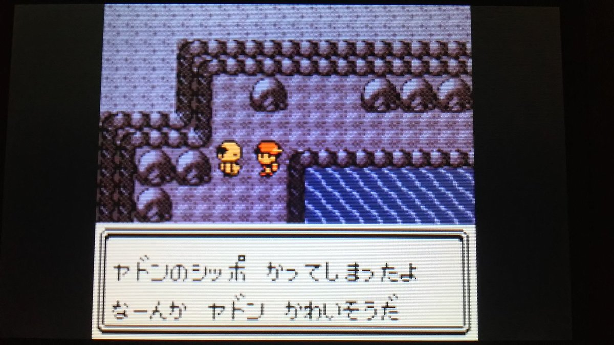 センジ در توییتر おいしいシッポ っていう名前は一応カモフラージュになってるんだろうか ポケモン金銀 T Co Brbv0jtoku