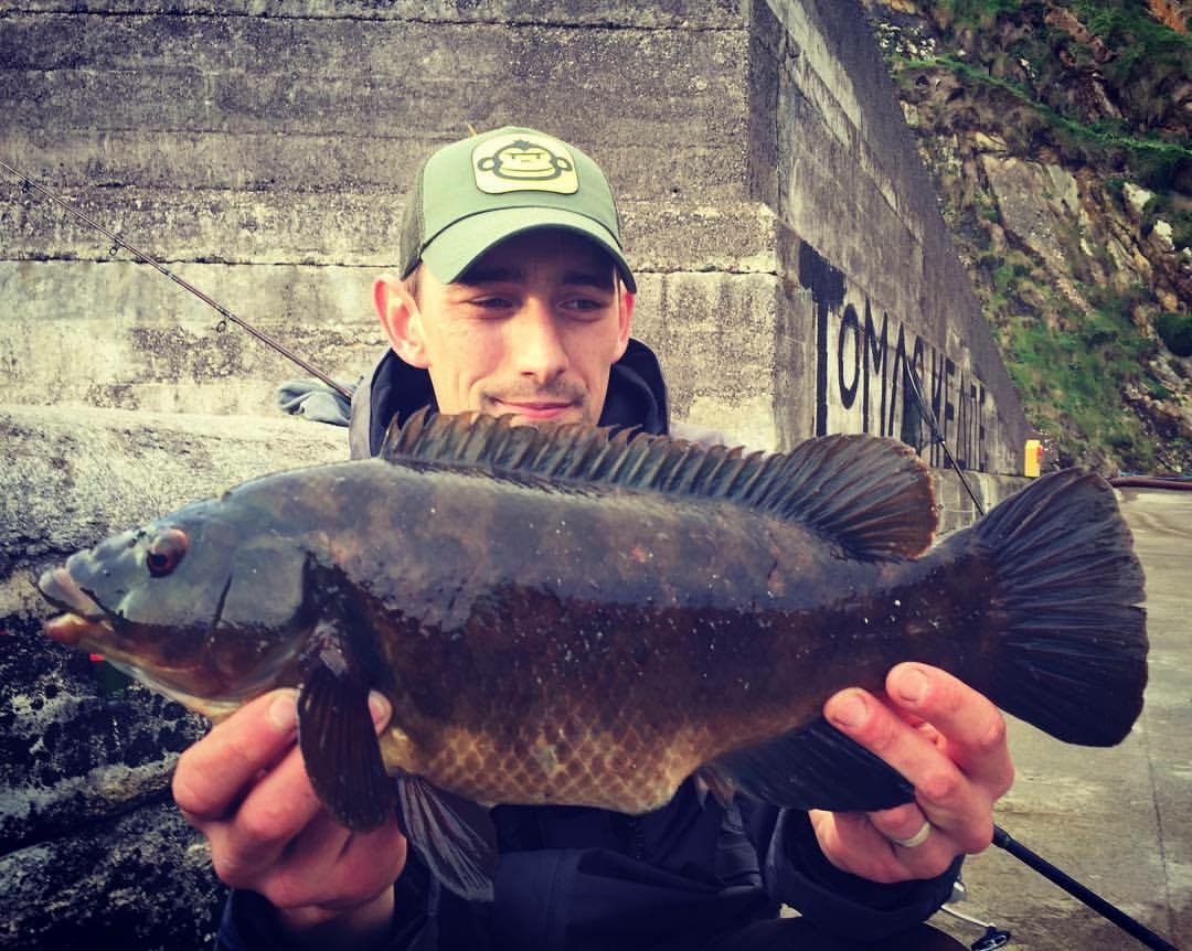 Fish Dynamix tweet media