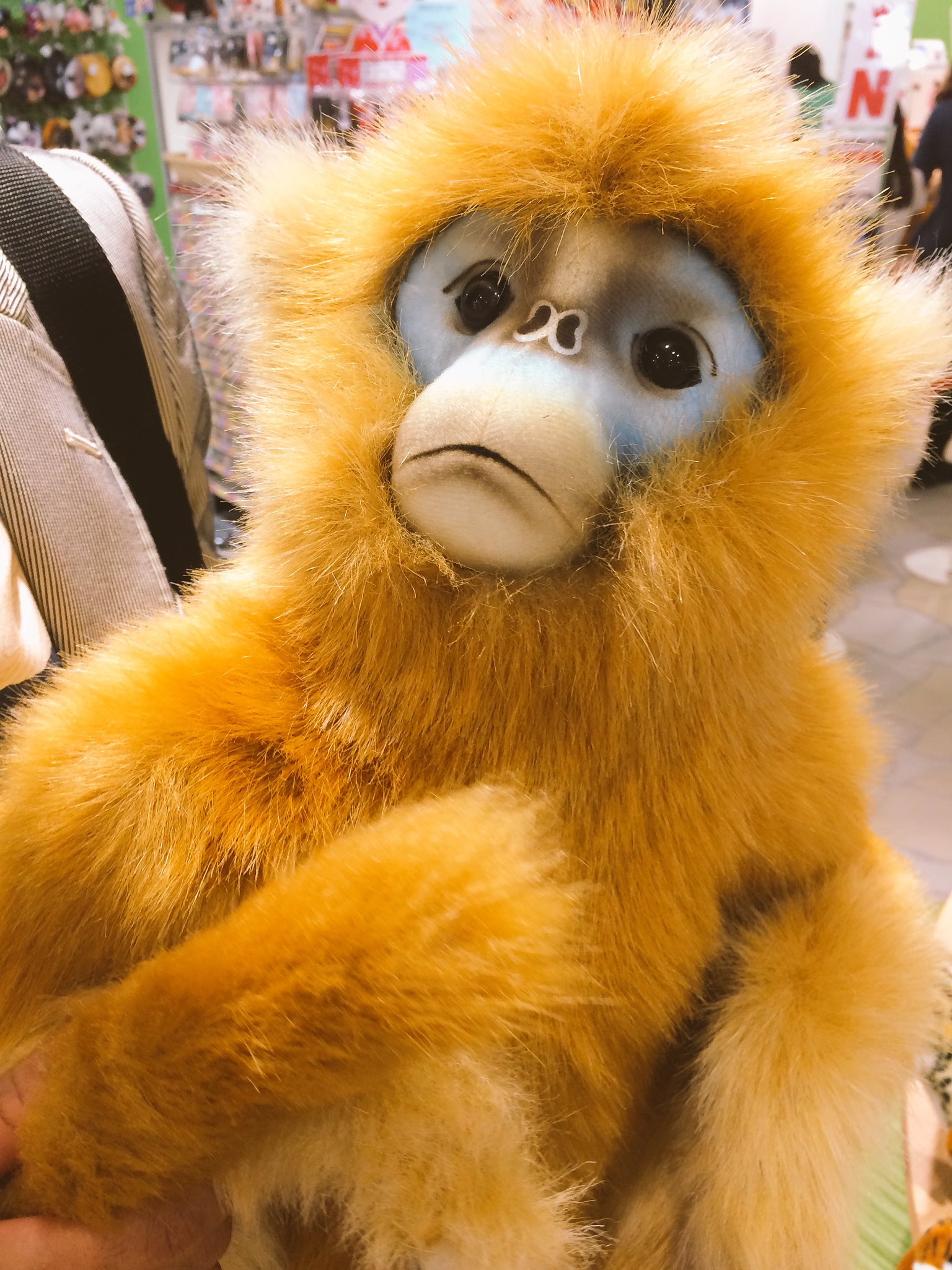 インストール 段落 強います キンシコウ ぬいぐるみ Bluesnight Jp