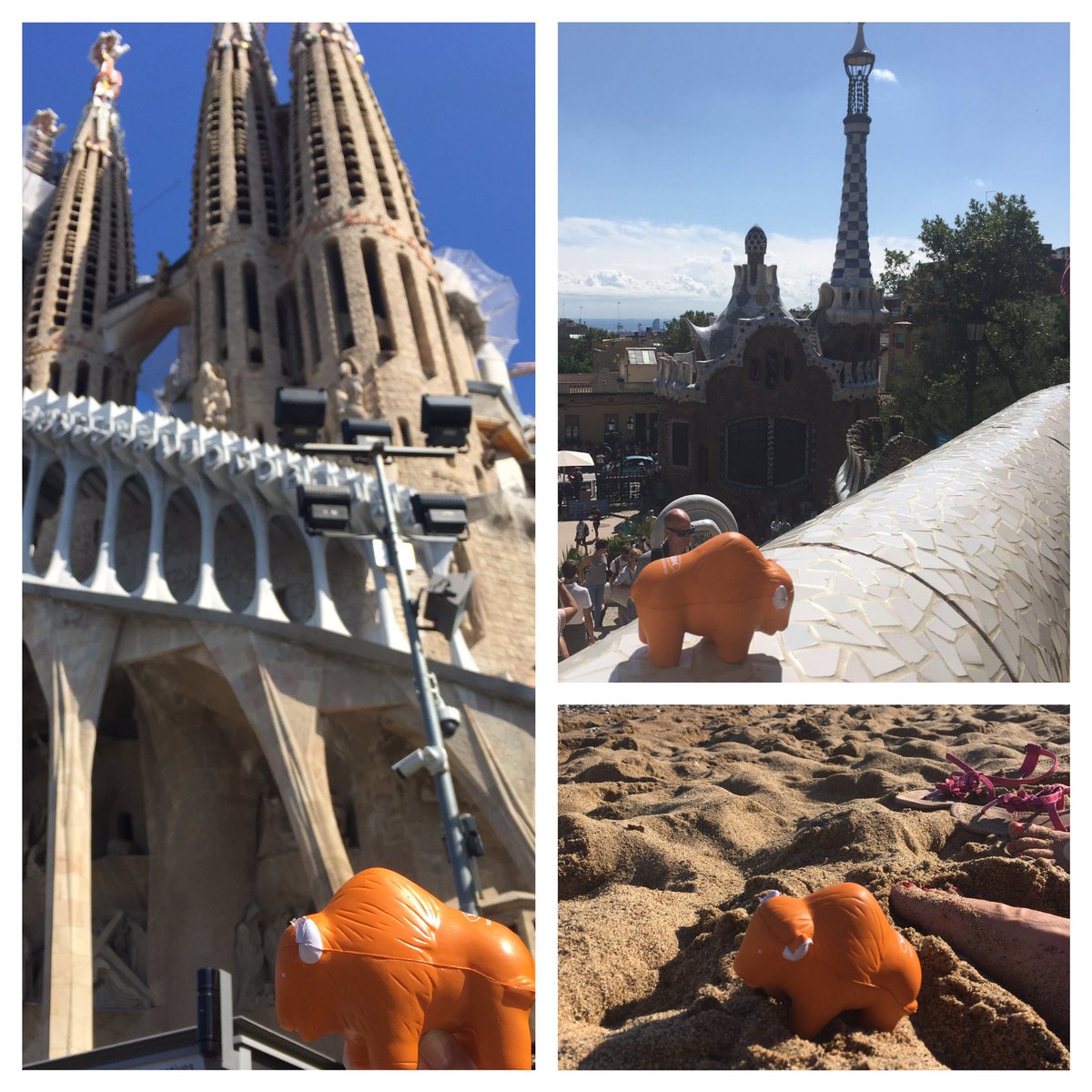 mccheese's tweet photo. @Yak_Adventure taking in The culture and the beach life in #Barcelona #WheresYakAt https://t.co/ORbrviZOsq