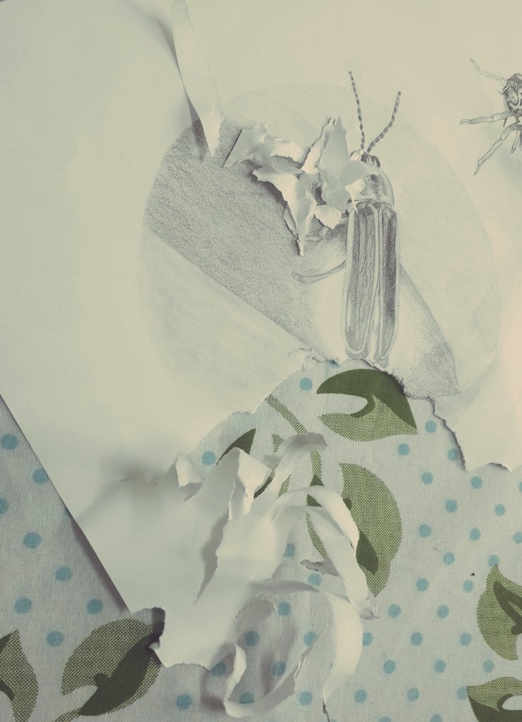 mohdailydiaries's tweet photo. My #bunny #rabbit ate my sketches 😳 #RIPhomework, my fault tho.. https://t.co/YAo9EZkgYO
