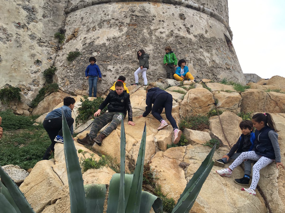 Instamamme's tweet photo. Scopriamo insieme alla nostra guida la varietà delle specie vegetali dell'Elba! #ElbaActive17 #blogtour https://t.co/0emZUtWNYR