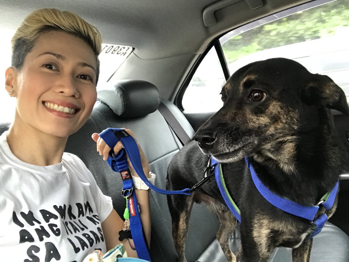deweytheaspin's tweet photo. Time to go to the mall with mum. 😀🐶 #deweytheaspin #southiedog #adoptdontshop #rescued #aspin #metropets #wheninmanilapets https://t.co/5hVyLPLowc