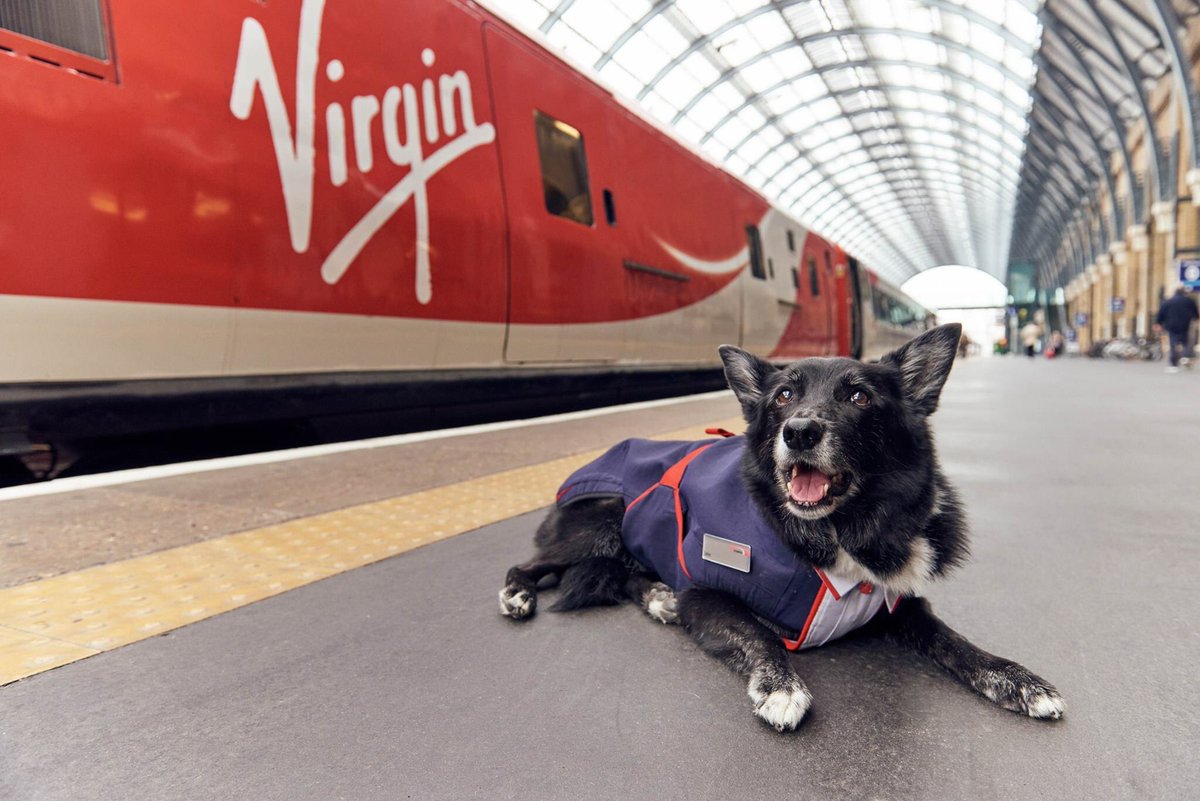 ❤️ this 'tail' from <a href="/BasilBarkarama/">Basil Barkarama</a> approved @VirginTrains - Jake the platform pawtroller gets a uniform. See more on our Facebook page 🚂🚂🚂