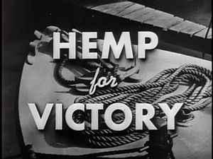 CannaFactsByNMJ's tweet photo. Watch "Hemp for Victory" a US WWII Propaganda film urging farmers to grow hemp for the war https://t.co/VyM0ZCwll5 https://t.co/oE8hygSNGQ