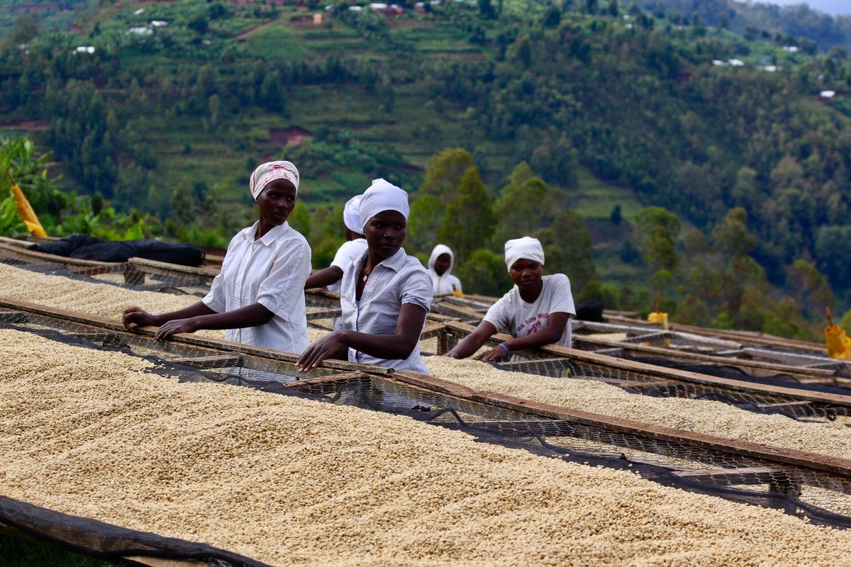 Happy International Coffee Day!