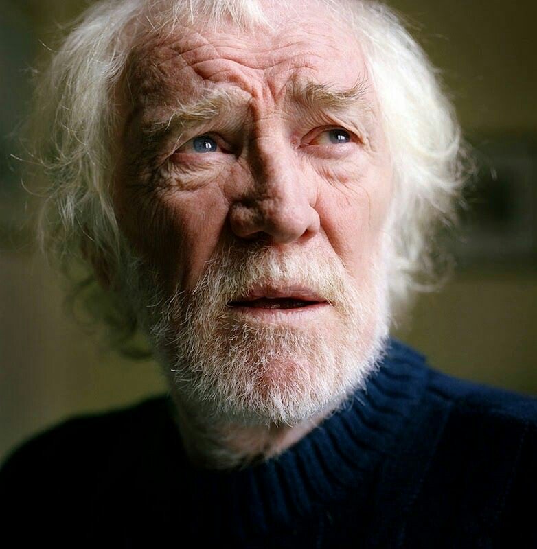 TheHPfacts's tweet photo. Raise your wands in memory of the late Richard Harris birthday today. He potrayed Albus Dumbledore in the first two Harry Potter films. https://t.co/XcxQZl5gUF