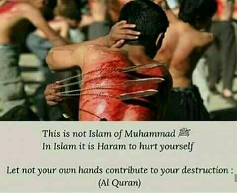 ReadQuranWord's tweet photo. Its Haram in #Islam. https://t.co/5ipLUcAh6m