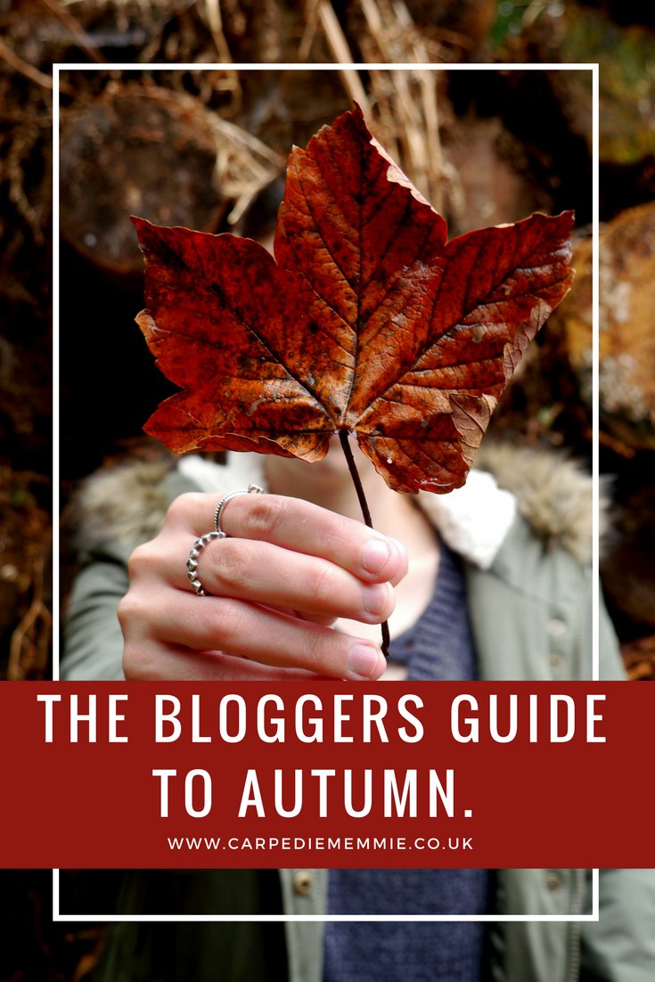 theatreandtonic's tweet photo. NEW | The Bloggers Guide to Autumn; https://t.co/oJYXTAbjUM ππβ¨
#ontheblog #thebloggercrowd #GetINfluence #lbloggers #Autumn #ukbloggers https://t.co/JH3xDh1qBI
