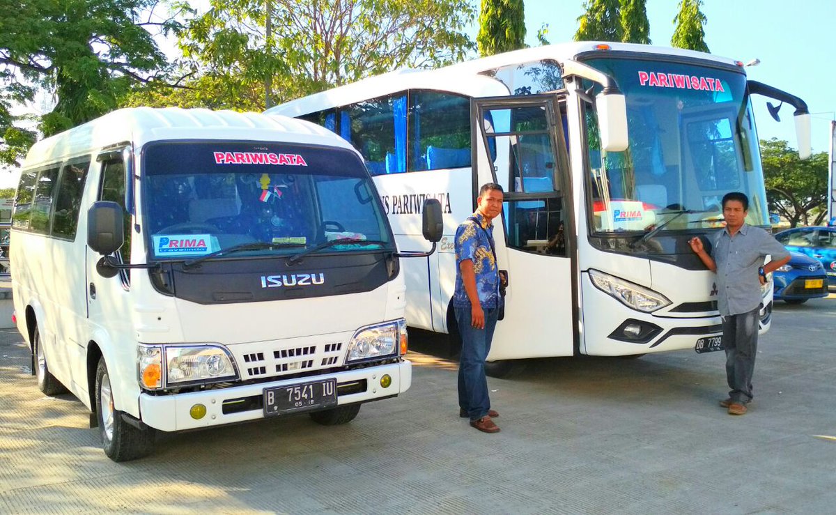 prima_trans tweet picture