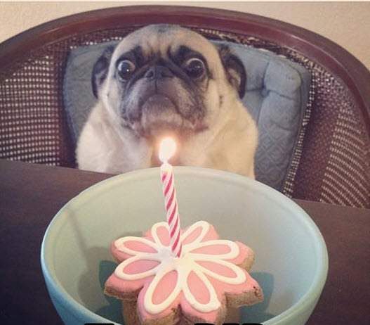 AddisionL's tweet image. Happy Birthday, haha!