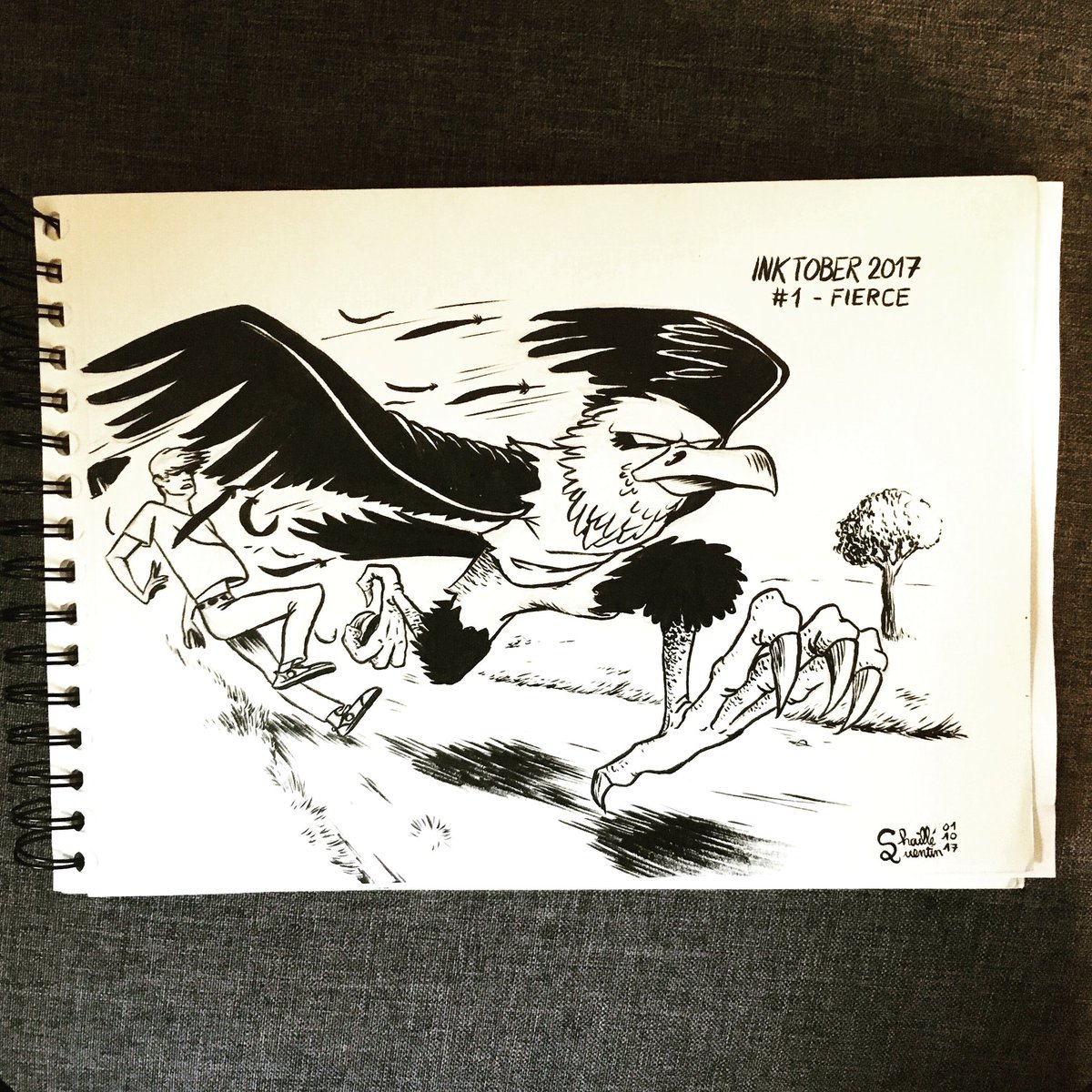 quentinchaille's tweet photo. #Inktober #Inktober2017 #Inktober2017Number1#fierce #GiantBird #Drawingcreatures #RoadRunner #InkDrawing #InkIllustration #InkingWithABrush https://t.co/IIYXyf9DqH