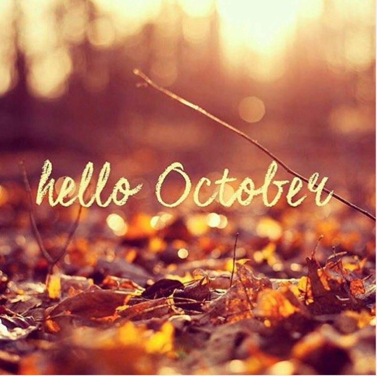 daye_moon's tweet photo. #hellooctober only 30 days till #Halloween! 🎃👻 Waiting for the #HocusPocusRemake ! https://t.co/v9a80mdxxK