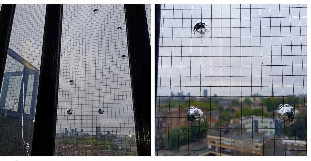MPSBoroughBank's tweet photo. #PerronetHouse Who has been shooting steel BBs into the stairwell windows? (from the inside/conchoidal fractures) 101 ref CRIS 3029242/17 https://t.co/pCHCvaVocG