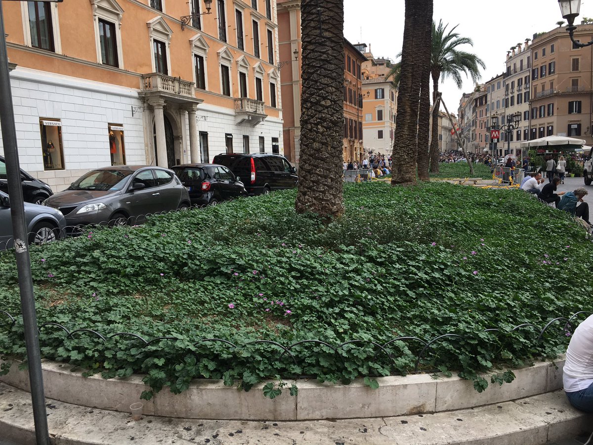 _romaxroma_'s tweet photo. Piazza di Spagna. Bello, bellissimo! @virginiaraggi @rep_roma @romafaschifo @Sovrintendenza @Sosromacapitale @M5SRoma @romatristezza https://t.co/WSvy4GbN9H