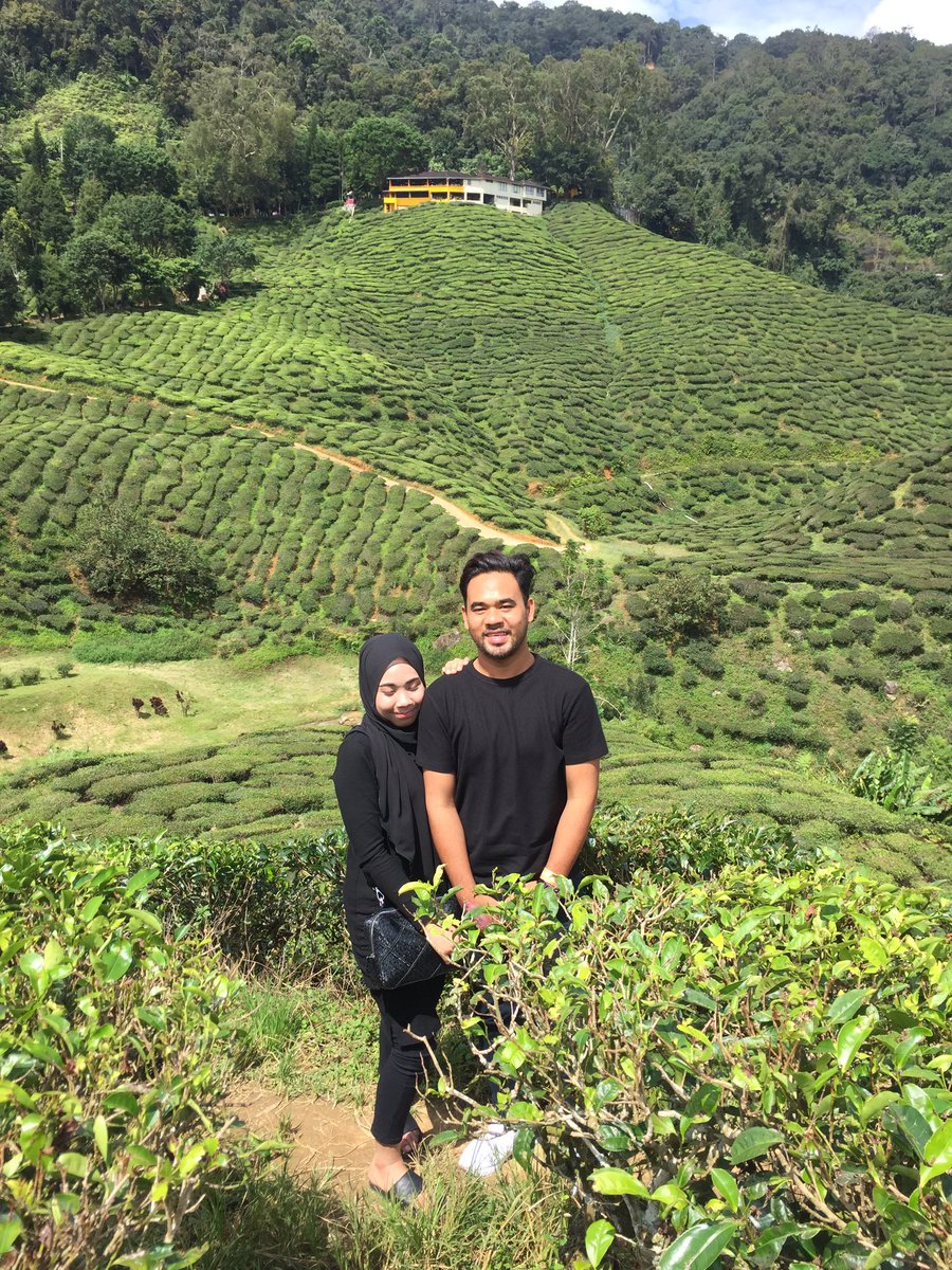 arifahidayu's tweet photo. Cameron highland https://t.co/R8qSd8A0WX