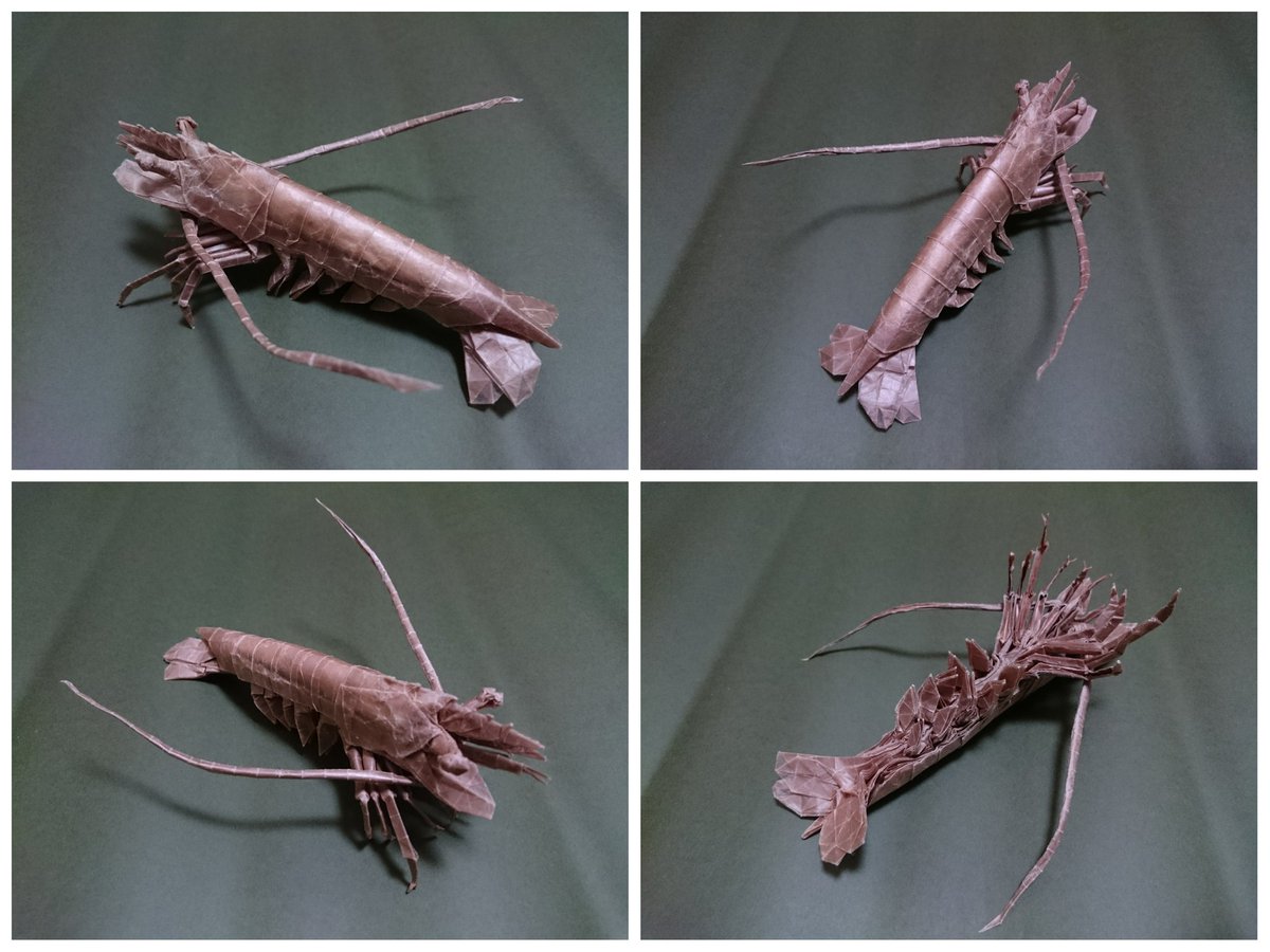 S Twitterissa 30 エビ Oripaをいじってたら 頭の構造が急に降ってきたので創作 最初に折ったのが１ ２枚目の76等分版 中に詰めたティッシュが身のようだと好評だった 比較的最近リメイクしたのが３枚目の80等分版 クルマエビをモデルに細部を調整した