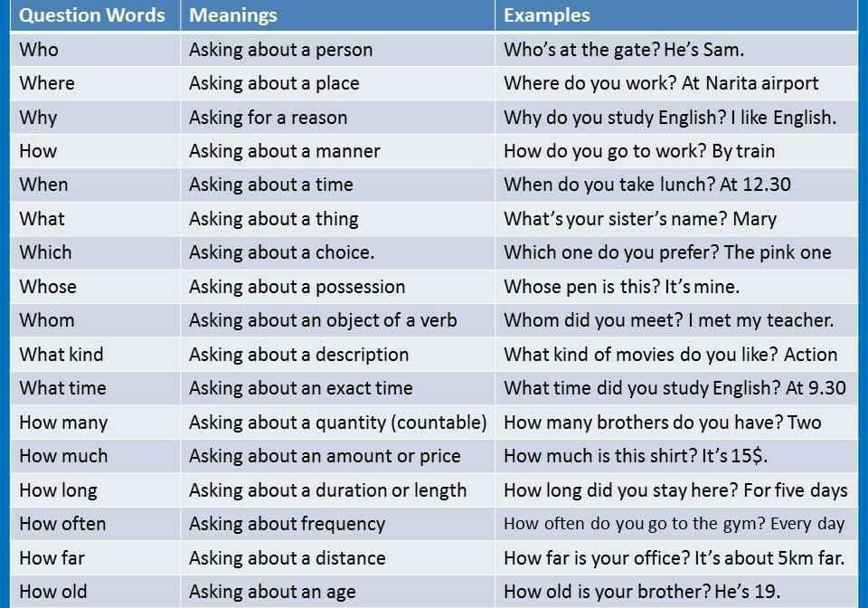 They the words every day. Why вопросы в английском. Вопросы на английском с which. WH questions в английском. WH вопросы в английском языке.