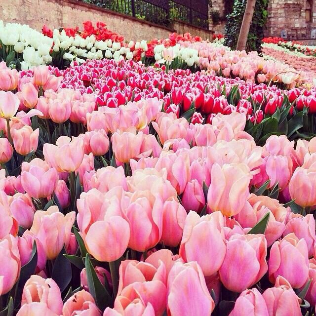 vilaandrealili1's tweet photo. ༺🌷★🌷༻ RETWEET

༺🌷★🌷༻ FOLLOW ALL WHO RT

༺🌷★🌷༻ FOLLOWBACK

༺🌷★🌷༻ GAIN WITH #TT4F

༺🌷★🌷༻ FOLLOW 
@omniajen 🌷
@devilsright  🌷
@MGWVMaddy  🌷 
@V2_N_St0 🌷 https://t.co/xbOhXukugf