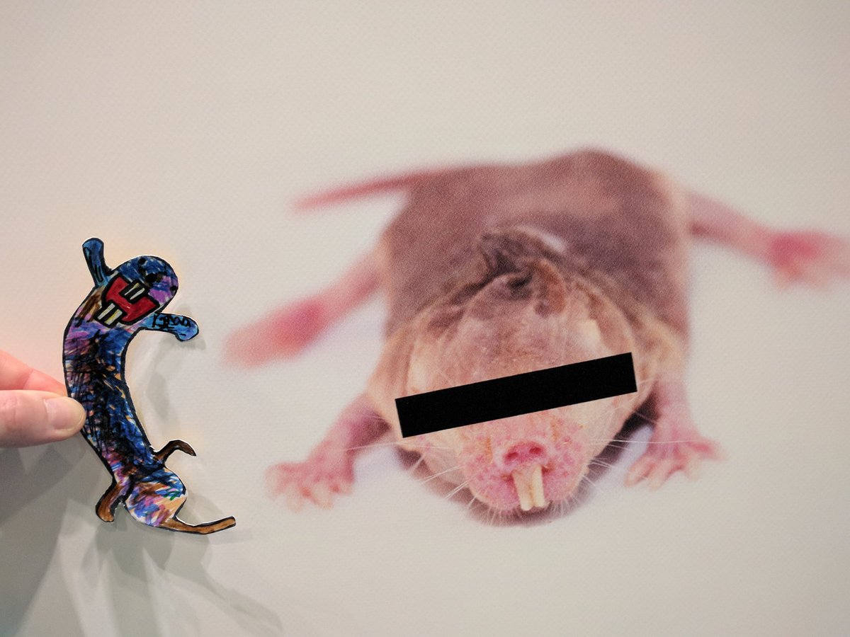 dr julie freeman, artist tweet media