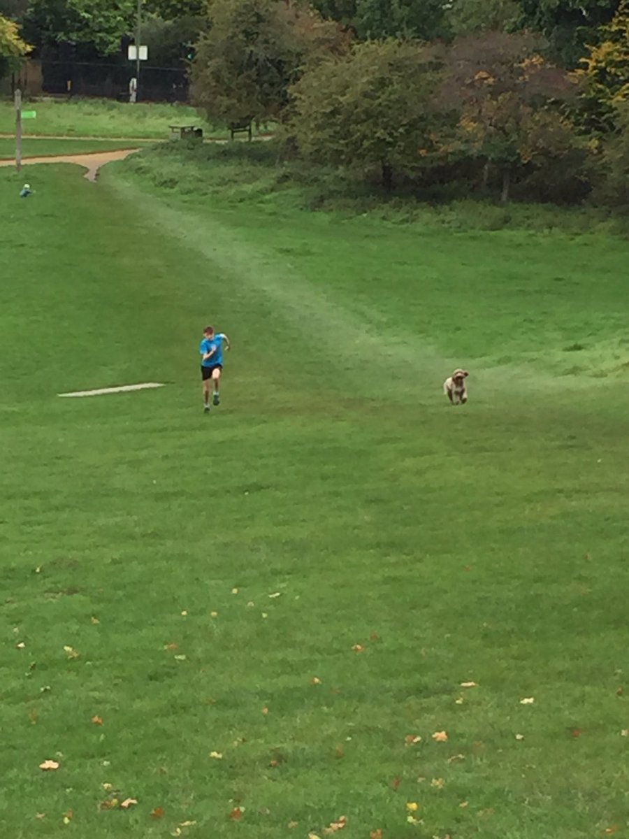 Declan Connolly tweet media