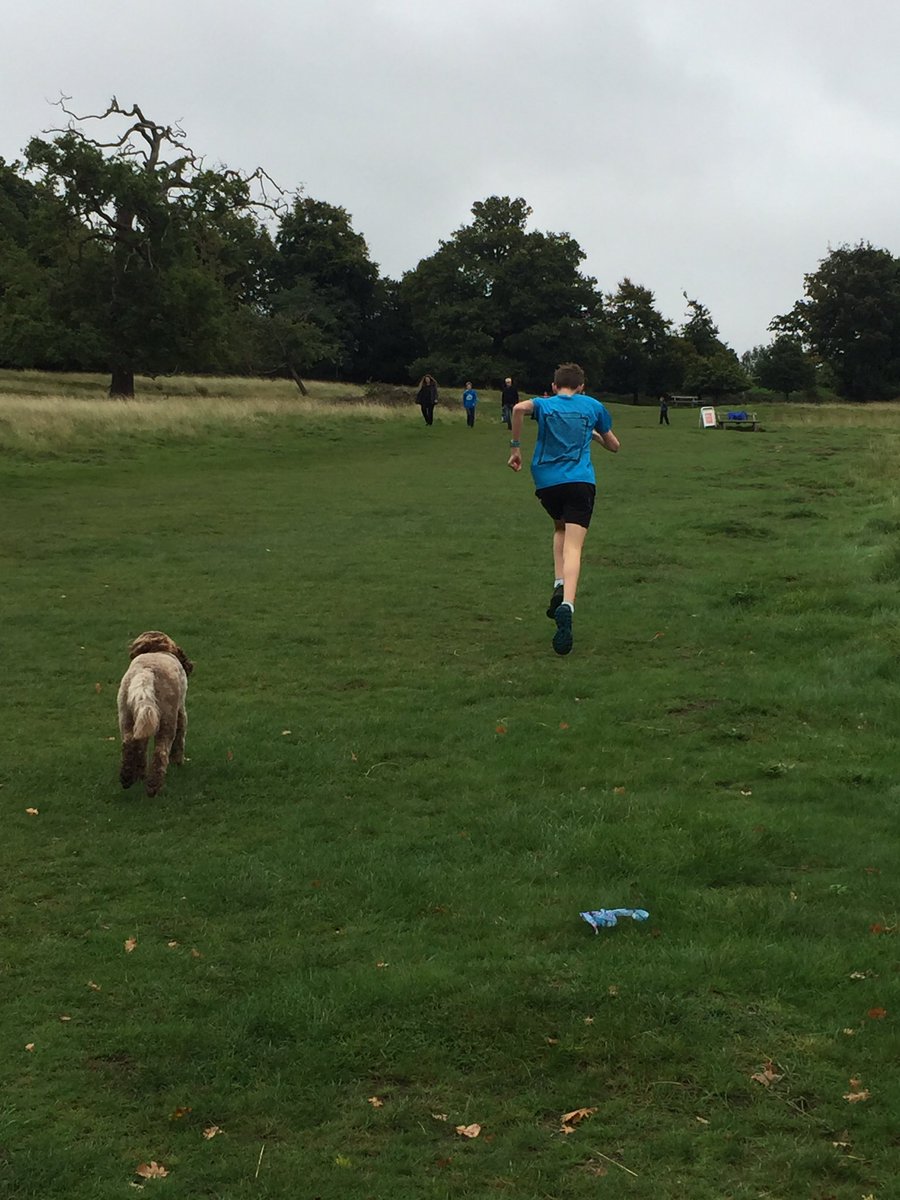 Declan Connolly tweet media