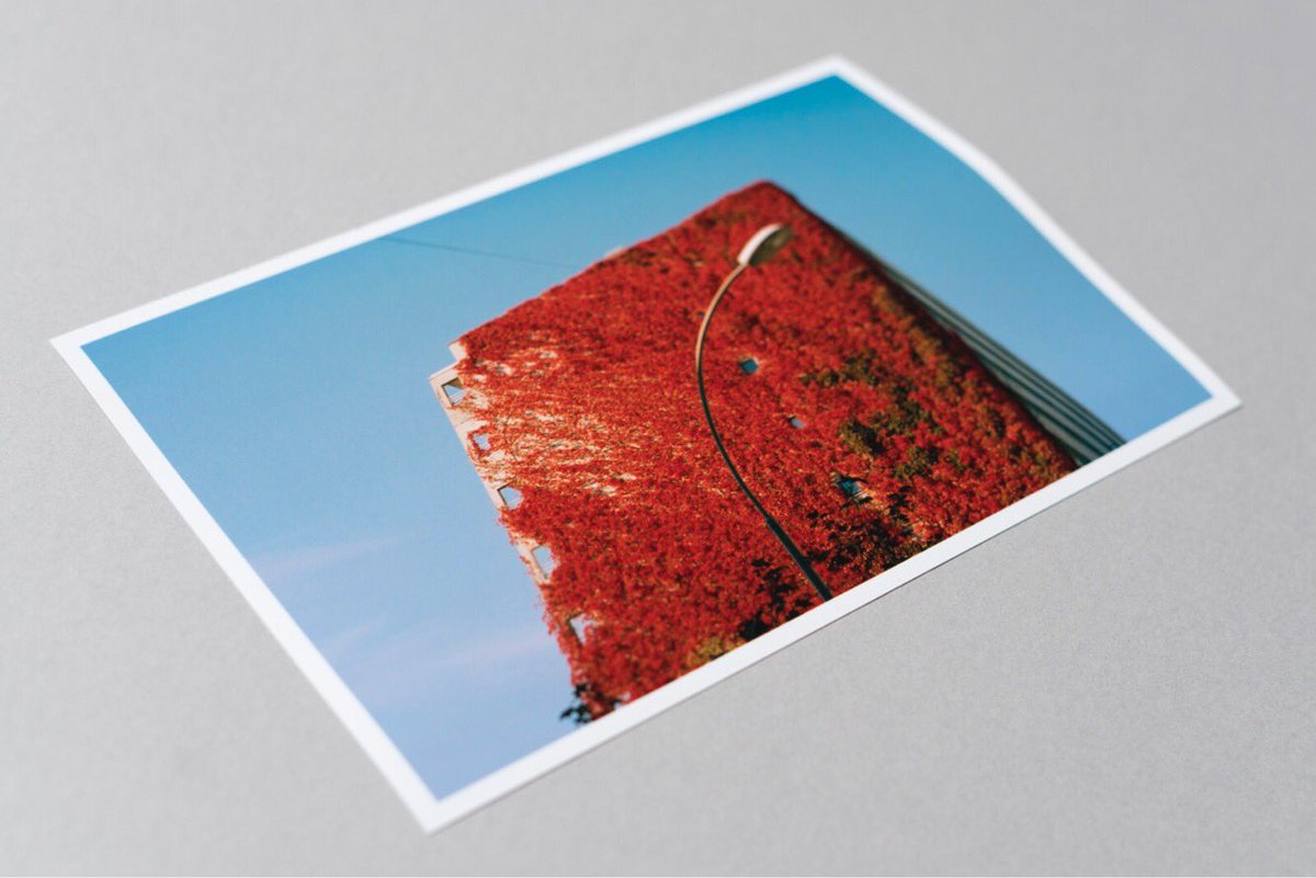 Tidepressmcr's tweet photo. You can still pre-order Move Gently by @olelovold to receive this free 9x6 inch print. #photobook #photobookjousting #smallpress https://t.co/QiAycSt9QO