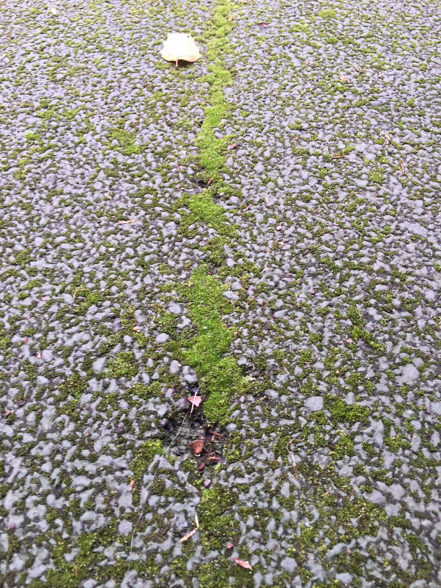 danc00ks0n's tweet photo. I usually love playing tennis at London Fields BUT courts are really slippy. Moss needs to be treated urgently @hackneytennis https://t.co/eLSDAyvgh7