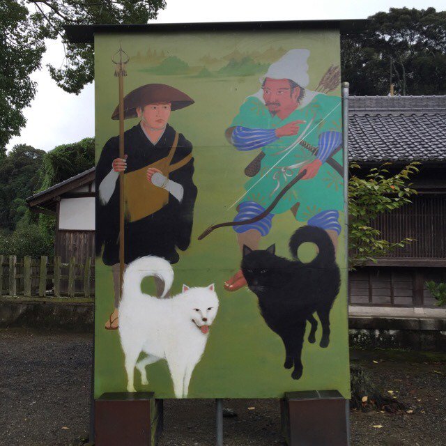 紀州犬 四国犬 北海道犬などの日本犬が絶滅の危機に Togetter