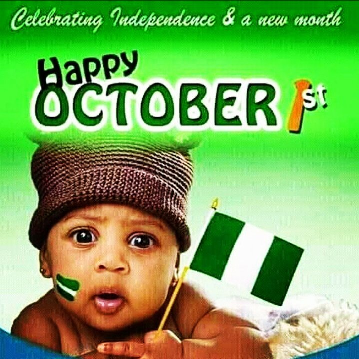 Soft Tech Corp (SOTECORP) tweet media