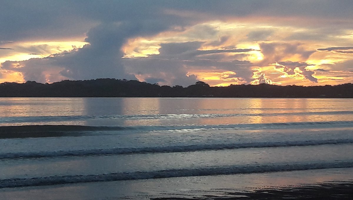 travel_hippi's tweet photo. A Caribbean sunrise never fail to amaze
#Sunrise #CaribbeanSunrise #IslandLiving #EarlyOneMorning #BeachPhotography #DigitalExpat https://t.co/Aa8RN0aFyb
