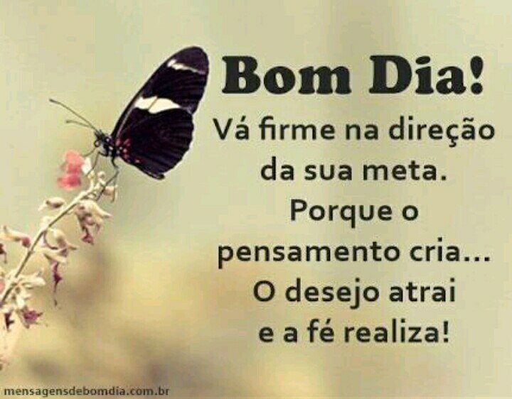 Aline #TimBeta (@alinessilva2010) on Twitter photo 
