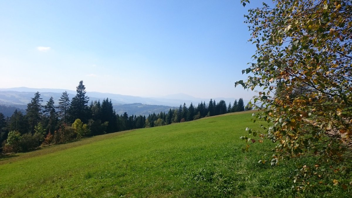 GorBurzan's tweet photo. Babia na wprost,  szkoda, że przymglona... https://t.co/vOAeVZ2pNP