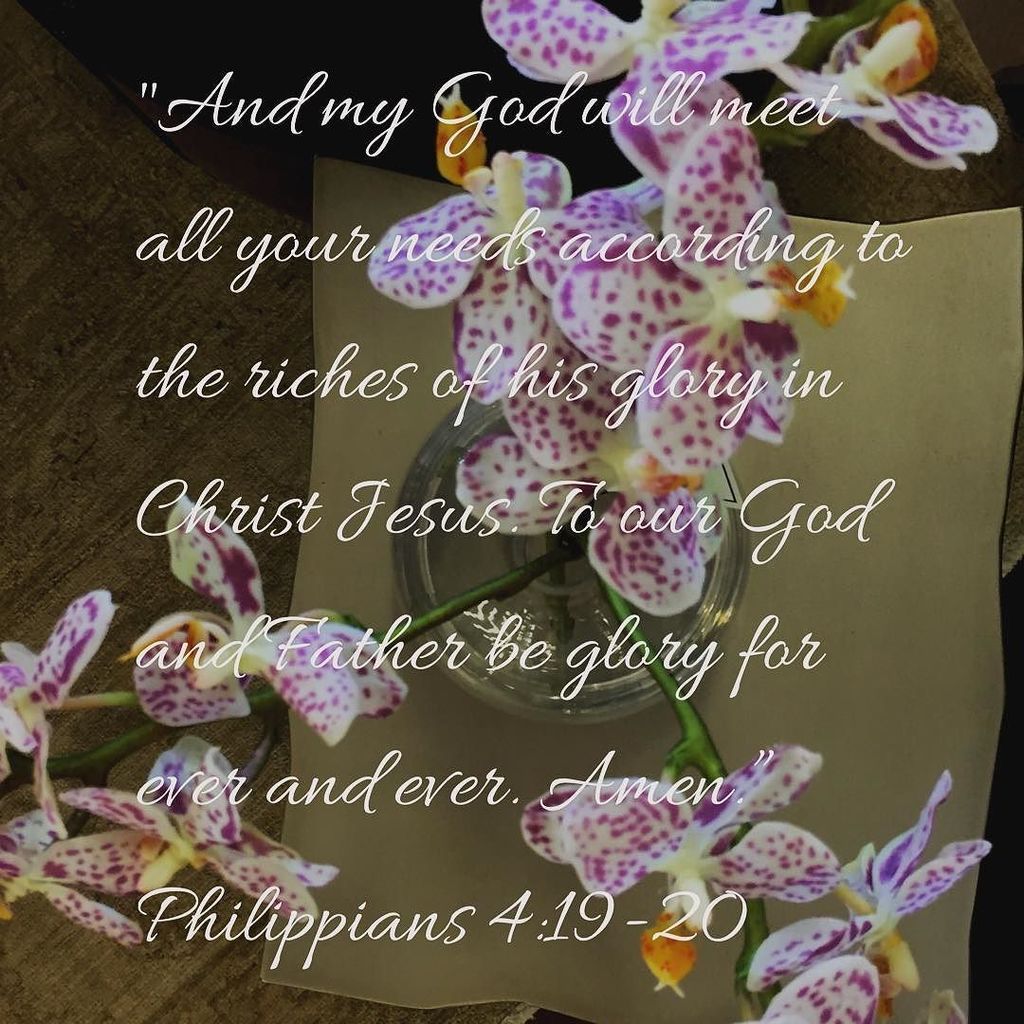 Mathison_Int's tweet photo. #sundaymorningscripture #philippians4v19and20 https://t.co/B5JK0E4w5O https://t.co/H0YlQlfvq8