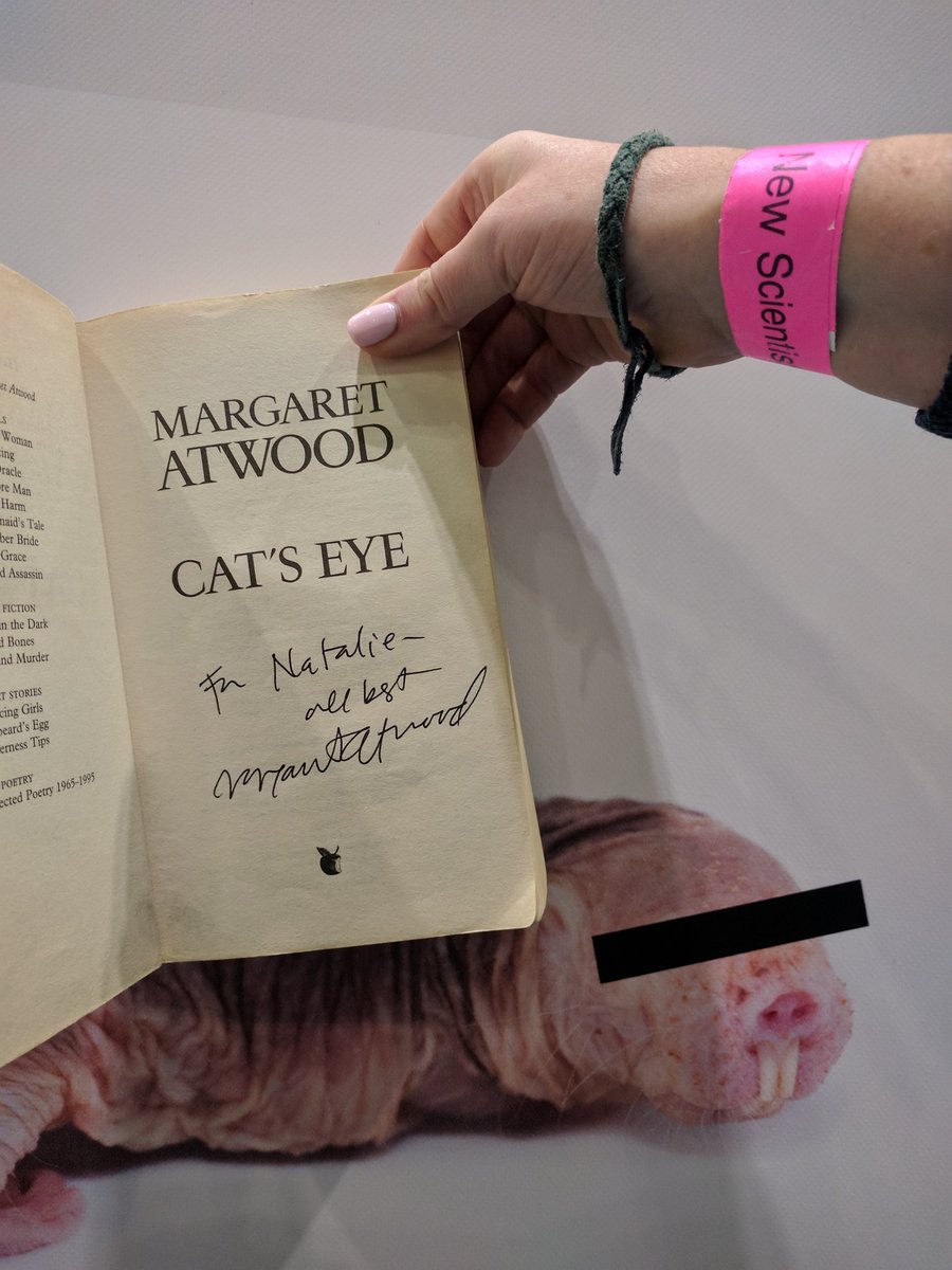 🍌 naked mole-rats tweet media