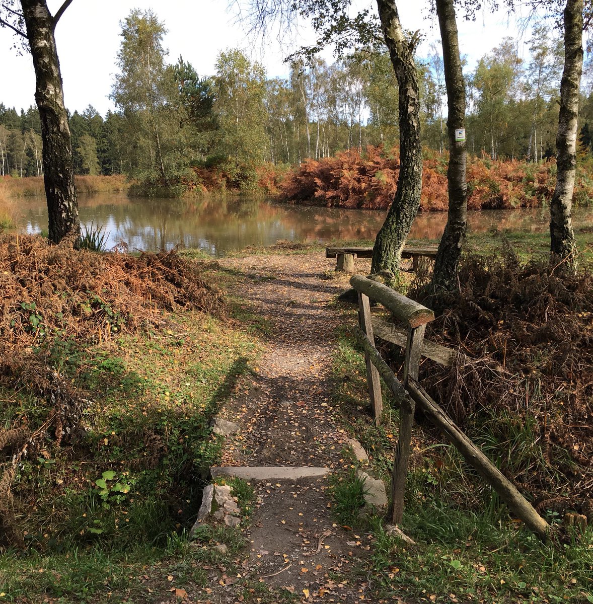 Ralf_B_AC's tweet photo. So langsam wird es Herbst ... https://t.co/DW7zIzAvcR