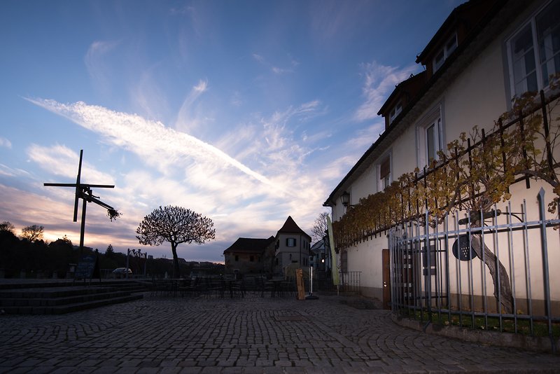 SloveniaInfo's tweet photo. 🍁Autumn in Maribor! Don't miss Stara trta / World's Oldest Vine ceremonial harvest 🍇🍷 #ifeelsLOVEnia https://t.co/bsQ9C5vPLL