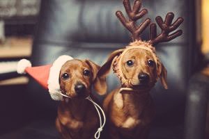 umcleber's tweet photo. Acordei em janeiro, almocei era maio, jantei era setembro #OutubroChegouEeu já vou me adiantar e escrever minha carta pro papai noel 😂😂 https://t.co/eXezuXcaKL