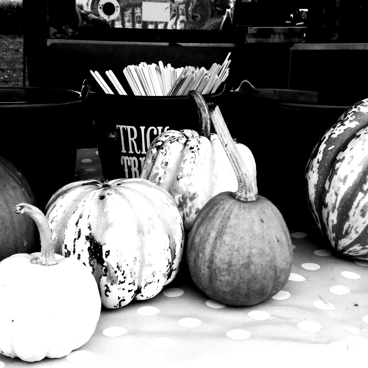OnlyWayIsCoffee's tweet photo. #coffee #hotchocolate #pumpkin #trickortreat #hire https://t.co/CjHrW5uOeP