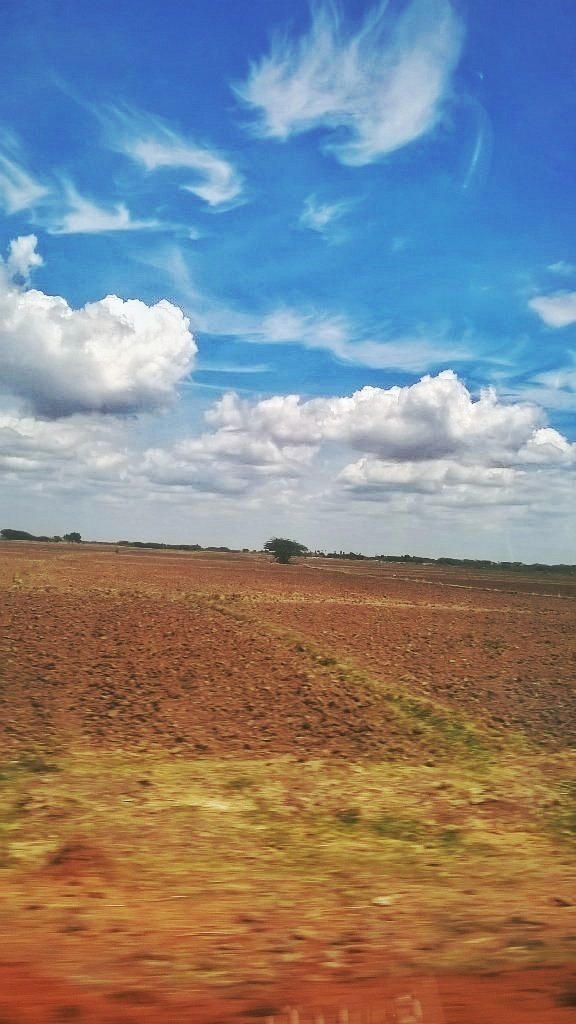 Wallll_E's tweet image. #SingleTree (with Filter) Travel Stories ...Thanks for the filter effect @mazhaisudar 🙏